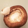 ★とびきり簡単・綺麗な椎茸の軸の取り方★