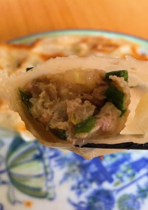 超美味しい!!ネギ白菜肉の餃子-レシピのメイン写真