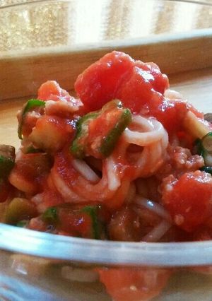 犬ご飯　冷や麦de 夏野菜のカッペリーニ-レシピのメイン写真