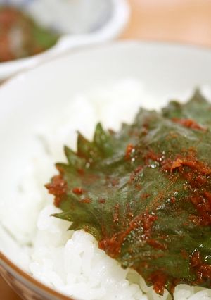 大葉の辛味漬け-レシピのメイン写真