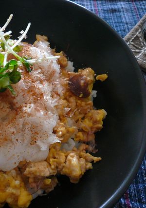 簡単＆ヘルシー！豆腐そぼろ丼♪-レシピのメイン写真