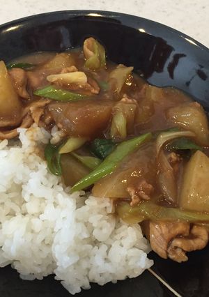 豚肉と冬瓜の和風カレー-レシピのメイン写真