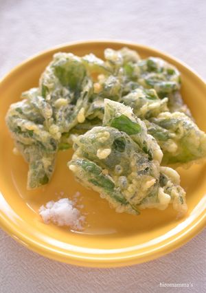 バジルのかき揚げ-レシピのメイン写真