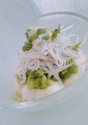 夏！！長芋の胡瓜おろしにシラスを乗せて～-レシピのメイン写真