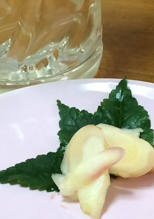 らっきょう酢！これだけ‼️ 甘酢生姜-レシピのメイン写真