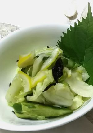 キャベツと胡瓜のレモン漬け♪-レシピのメイン写真