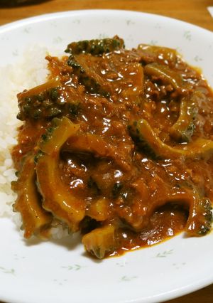 簡単！！クミンが香るゴーヤキーマカレー-レシピのメイン写真