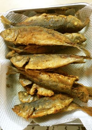 お子ちゃまアジ★から揚げカレー風味-レシピのメイン写真