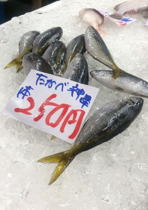絶品！タカベの塩焼き-レシピのメイン写真