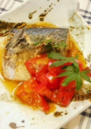トマ鯖味噌-レシピのメイン写真