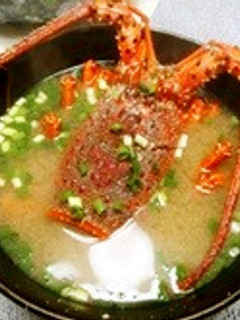 伊勢海老の味噌汁-レシピのメイン写真