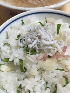 【しらすと大葉の混ぜご飯】残暑に!-レシピのメイン写真