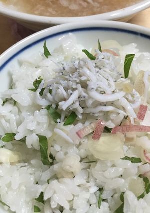 【しらすと大葉の混ぜご飯】残暑に！-レシピのメイン写真