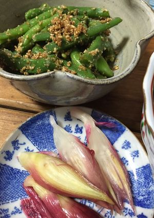 みょうがのピクルス 一品プラス-レシピのメイン写真