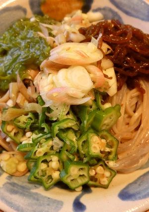 禅パスタ入り冷やしネバネバもずくうどん～-レシピのメイン写真