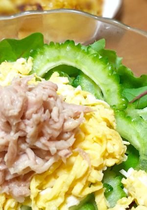 ゴーヤでサラダ素麺-レシピのメイン写真