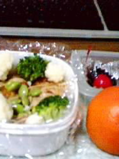 きょうのお弁当: 1/24/02(Thu) -にせスパゲッティトマト風味--レシピのメイン写真
