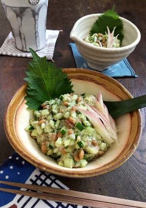 減る【ネバネバ薬味丼】inおからパウダー-レシピのメイン写真