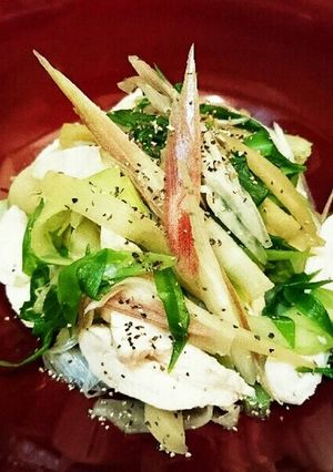 ささみと九条ねぎの簡単♪ヘルシーだし和え-レシピのメイン写真