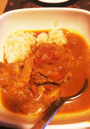 GABANで作るスパイスチキンカレー-レシピのメイン写真