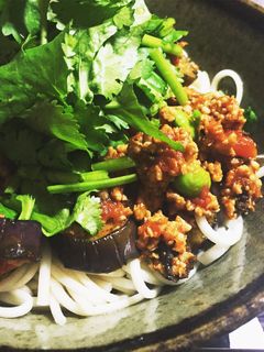 ミートソースで茄子と枝豆のパクチー素麺-レシピのメイン写真