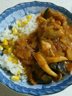 茄子とトマトのチキンカレー-レシピのメイン写真