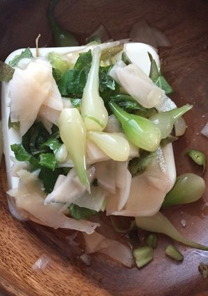 ごま油と塩で食べるたっぷり薬味の冷奴-レシピのメイン写真