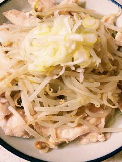 鍋も計量もナシ❕鶏むね肉ともやしの酒蒸し-レシピのメイン写真