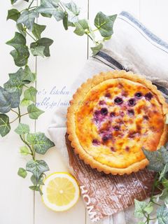 ブルーベリーベイクドチーズタルト-レシピのメイン写真