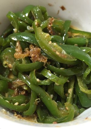 ピーマンの佃煮 保存食-レシピのメイン写真