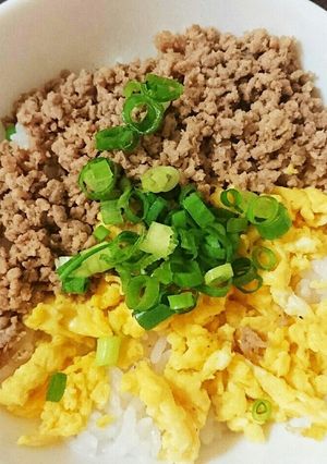 減塩☆二色そぼろ丼-レシピのメイン写真