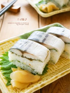 ラップで楽々★鯖の押し寿司-レシピのメイン写真