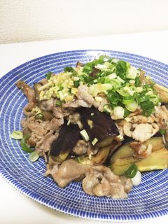 減塩♪酢生姜で茄子と豚肉のさっぱり炒め-レシピのメイン写真