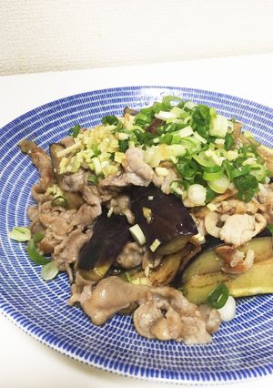 減塩♪酢生姜で茄子と豚肉のさっぱり炒め-レシピのメイン写真