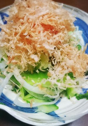 ゴーヤと玉ねぎのおかかがけ-レシピのメイン写真