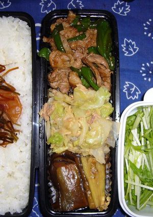 お弁当　7/9-レシピのメイン写真