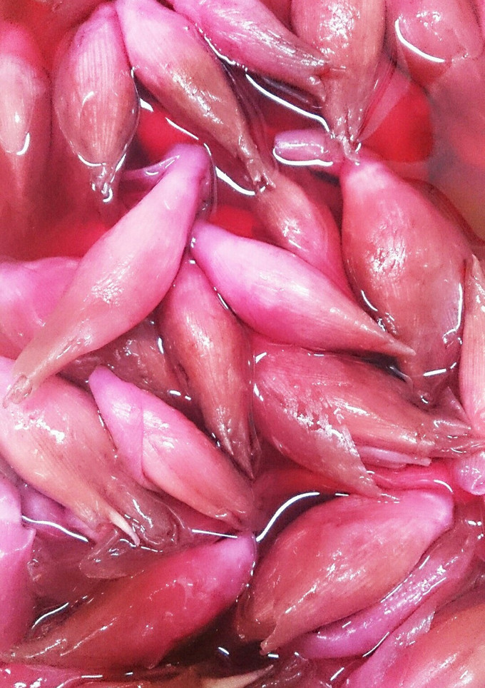ミョウガ漬け／夏の旬野菜-レシピのメイン写真