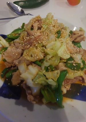 キャベツと万願寺唐辛子で炒め物-レシピのメイン写真