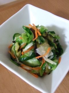 野菜もりもり!昆布茶で浅漬け-レシピのメイン写真