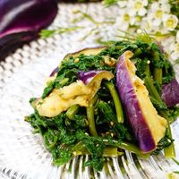 基本からアレンジまで！思わずつくりたくなる「なす おひたし ポン酢