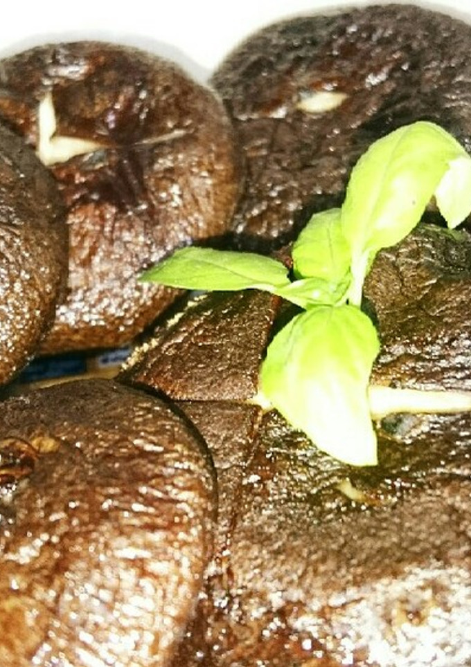 しいたけ 焼いただけ-レシピのメイン写真