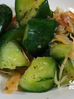 胡瓜とするめの塩昆布漬け-レシピのメイン写真