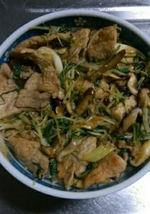 ４月１日晩飯【しょうが焼き丼】-レシピのメイン写真
