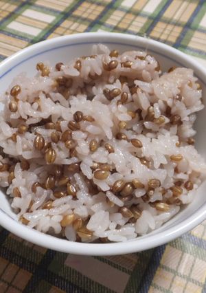 もち麦ご飯-レシピのメイン写真