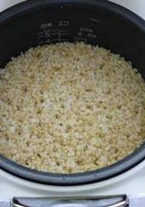 龍の瞳つやみがき米の美味しい炊き方-レシピのメイン写真
