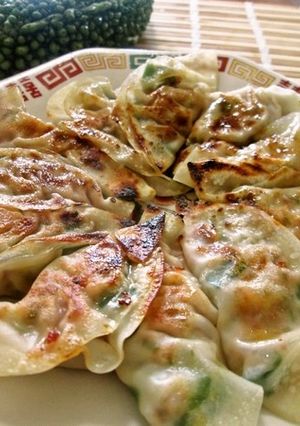 お勧め☆チアシード入りゴーヤ餃子-レシピのメイン写真