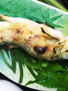 鮎の塩焼き-レシピのメイン写真