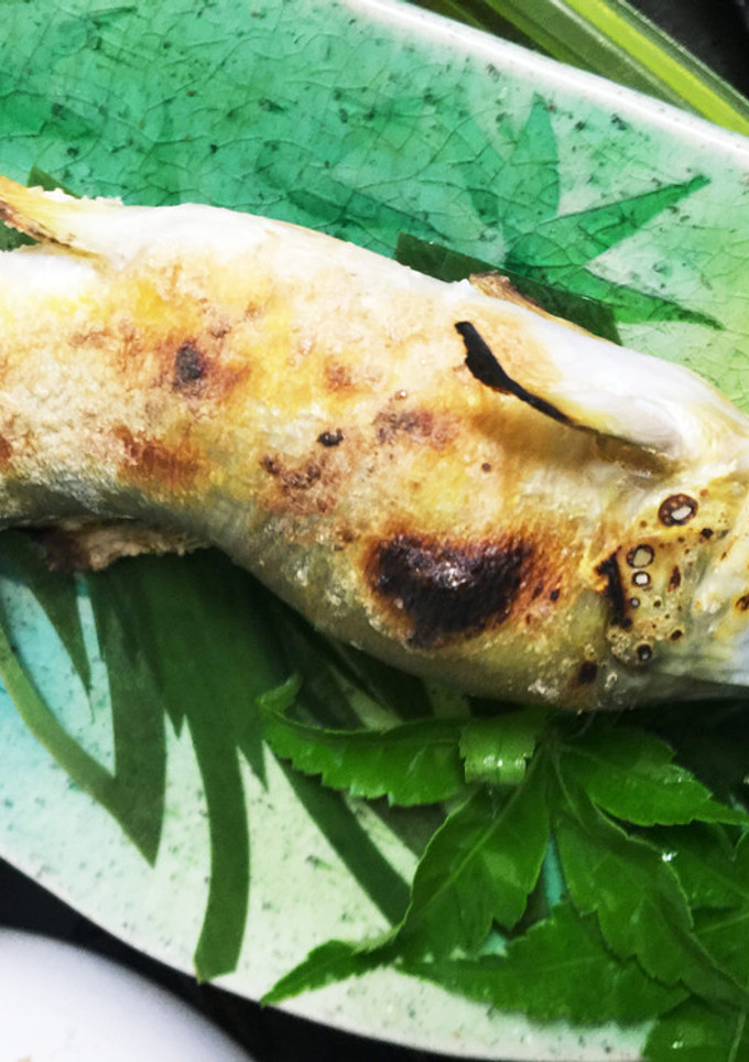 鮎の塩焼き-レシピのメイン写真