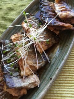 うなぎのタレで…さんまのかば焼き♪-レシピのメイン写真