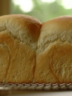 フンワリ食パン-レシピのメイン写真